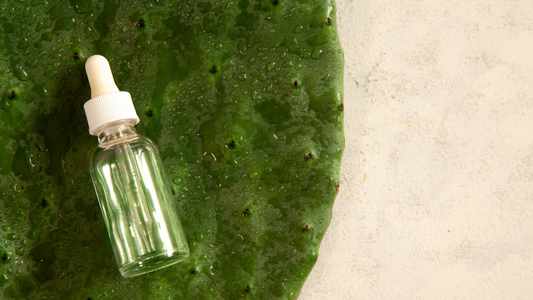 REVIEW: Yadah Cactus Toner Pads