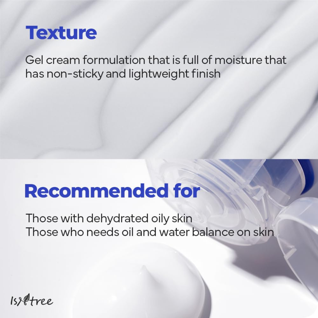 Moisturizer - Isntree Hyaluronic Acid Aqua Gel Cream