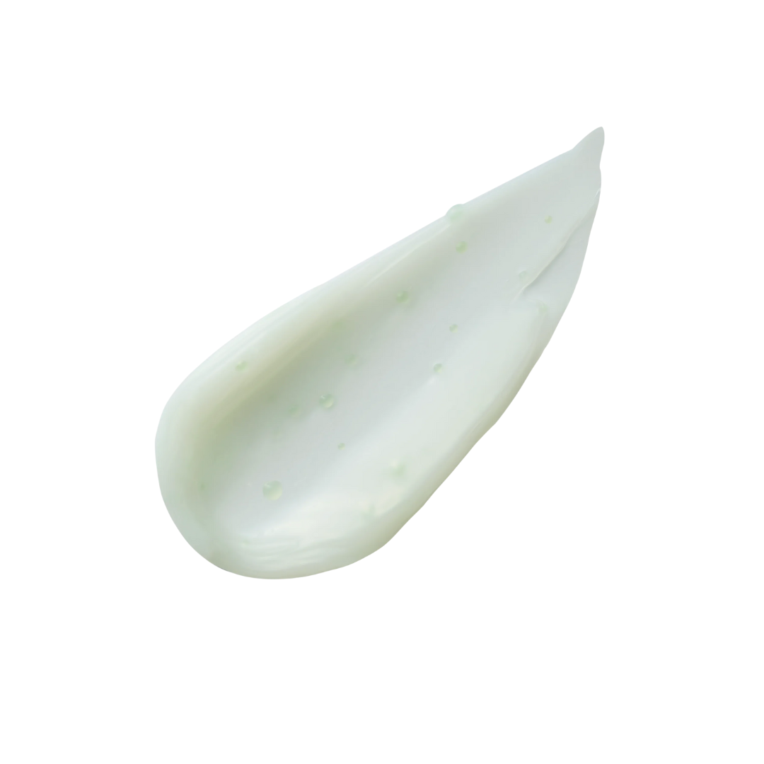 Moisturizer - Molvany Artichoke Calming Care Soothing Cream