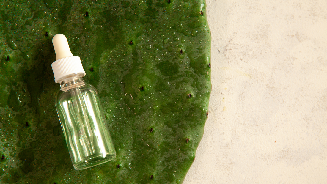 REVIEW: Yadah Cactus Toner Pads