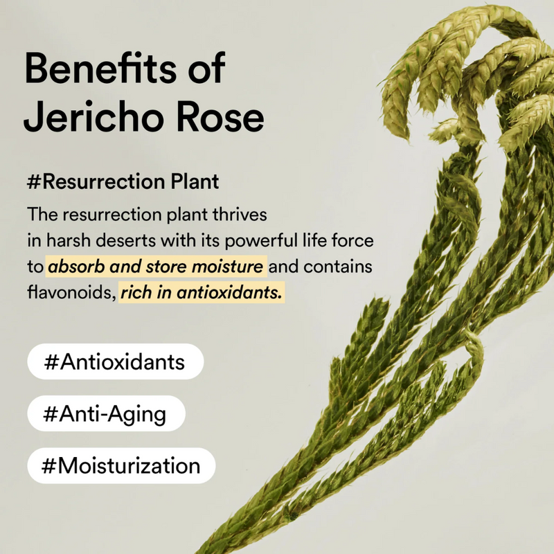 Eye Patch - Abib Collagen Eye Patch Jericho Rose Jelly