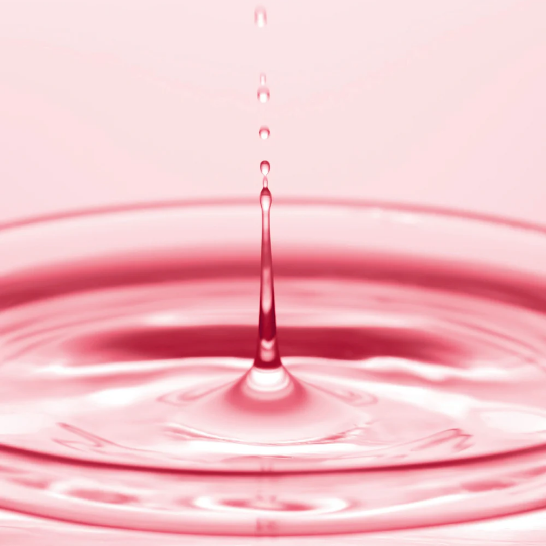 Serum - Anua Niacinamide 10% + TXA 4% Serum