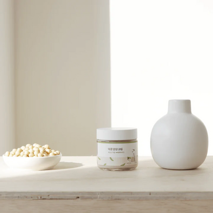 Moisturizer - Round Lab Soybean Nourishing Cream
