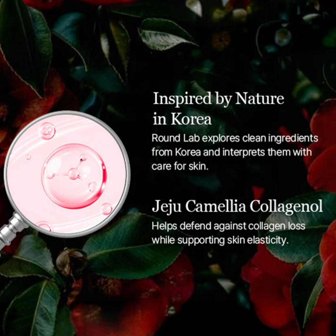 Toner - Round Lab Camellia Deep Collagen PDRN Milky Toner